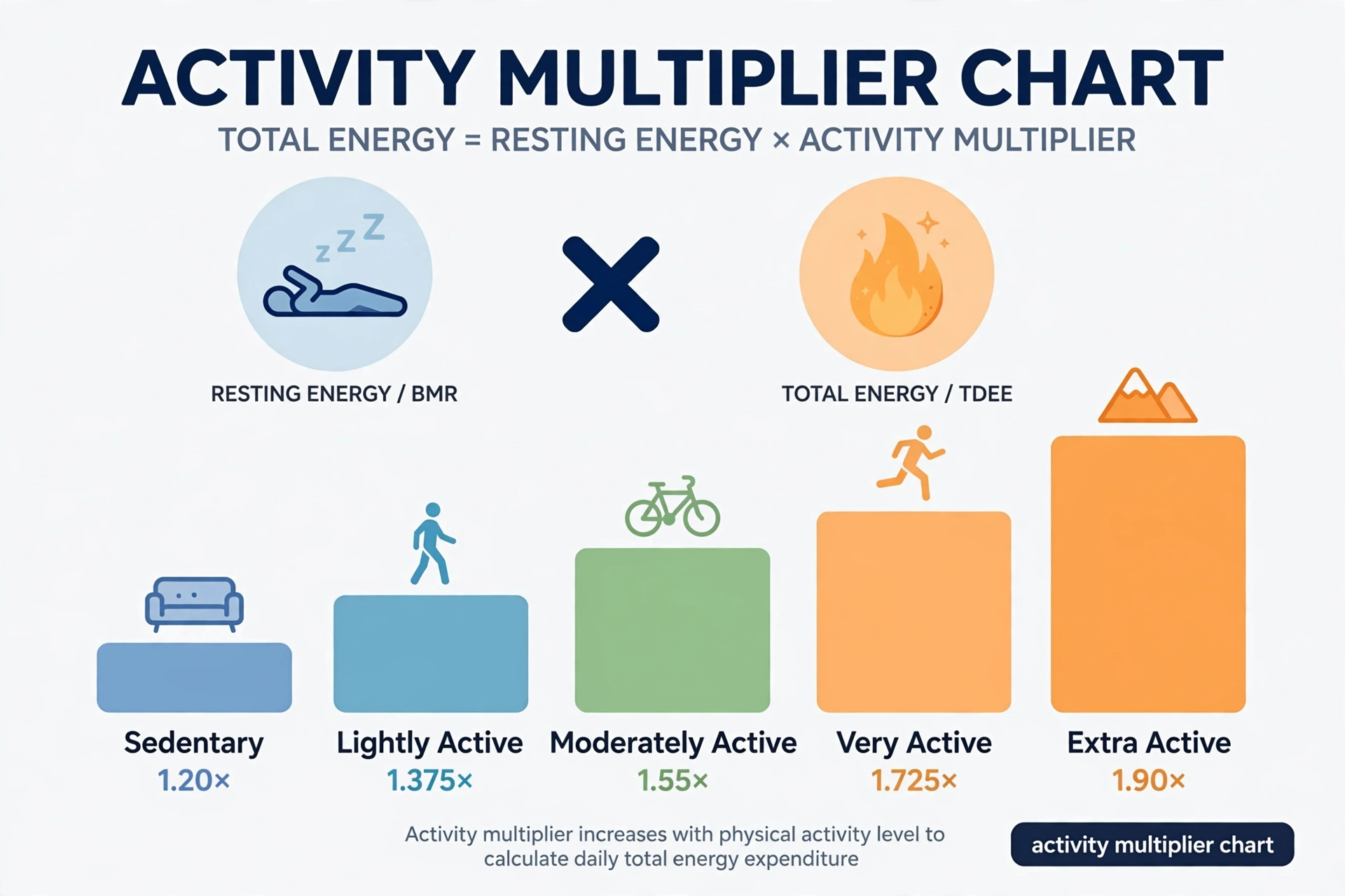 Activity multiplier chart showing how BMR converts into TDEE