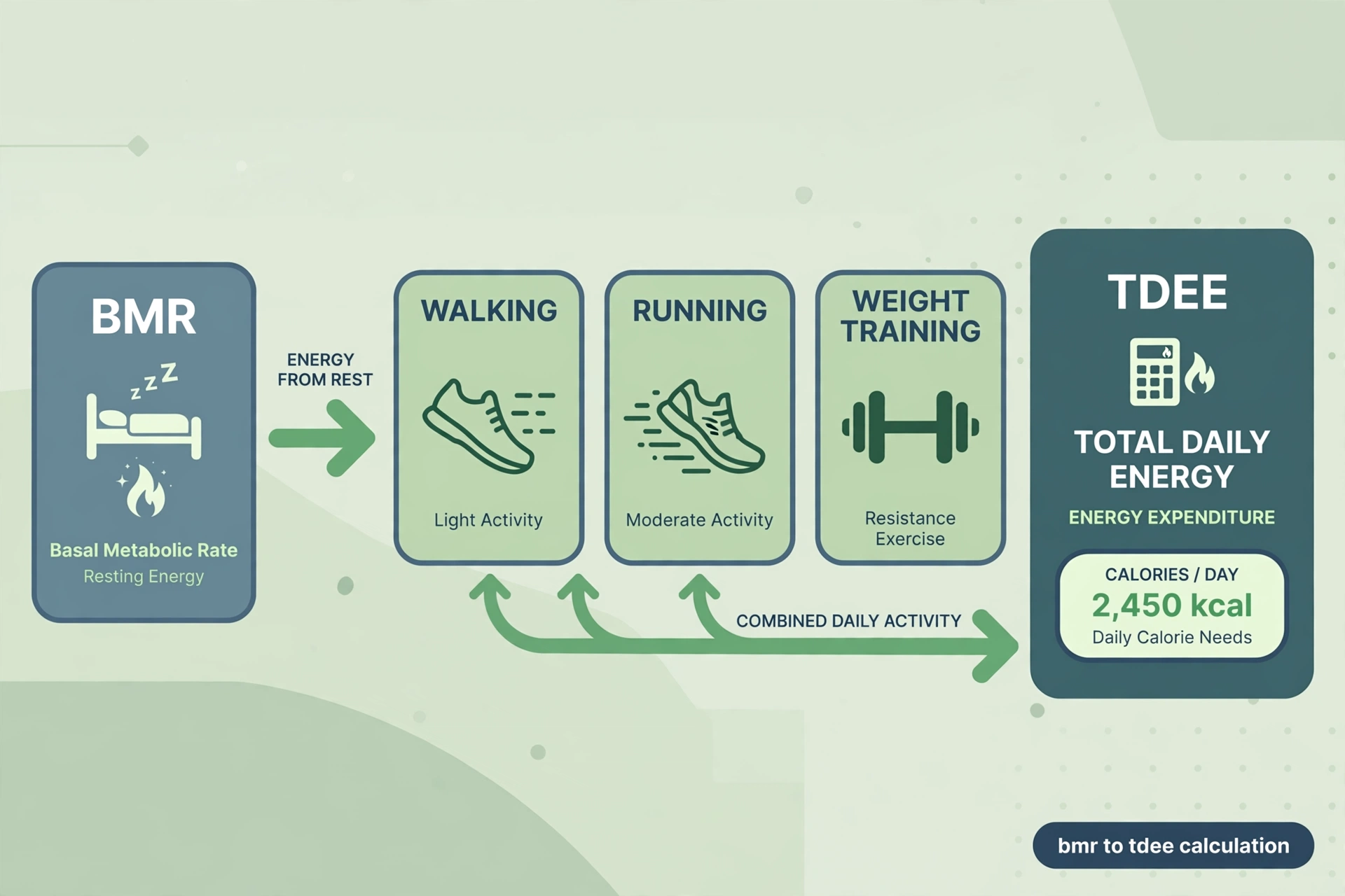 Diagram showing how BMR plus daily activity combines into TDEE