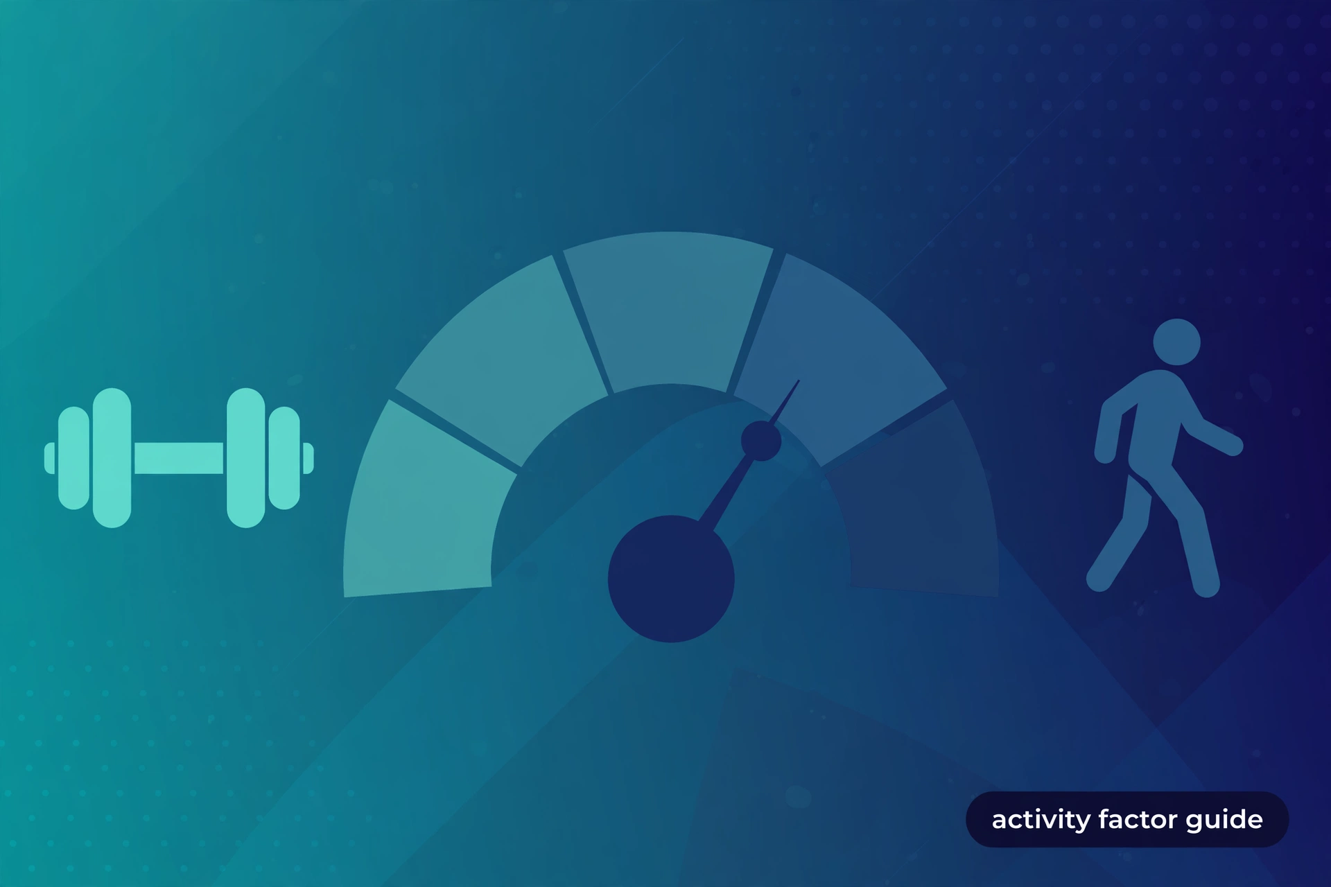 Activity level gauge illustrating the activity factor multipliers used by a TDEE calculator